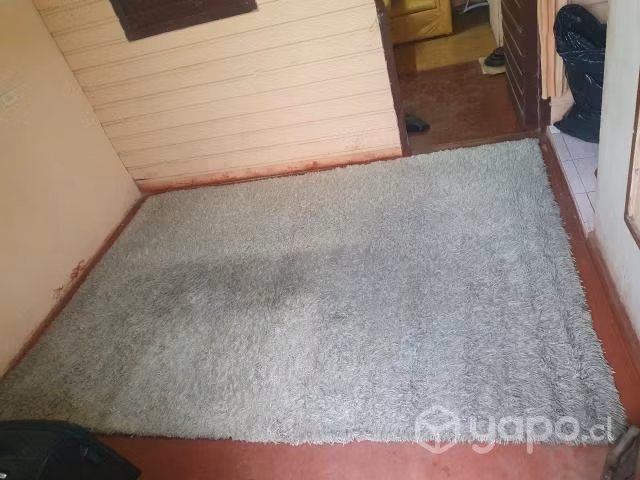 Oferton Alfombra 190 x 280