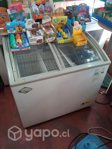 Freezer poco uso