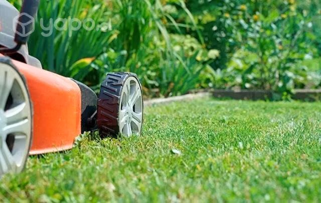 Mantención de jardines