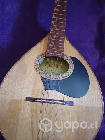 mandolina 10 cuerdas pantaleon cea c.