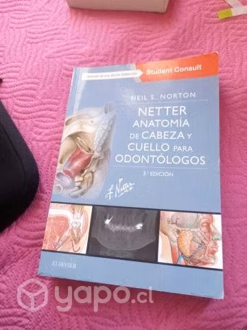 Netter anatomía cabeza y cuello para odontol