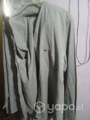 Camisa Lacoste talla L - Imagen 4