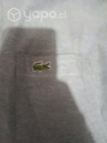 Camisa Lacoste talla L - Imagen 2