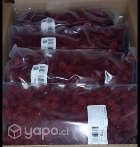 Frambuesas IQF congeladas
