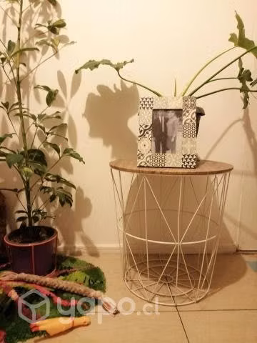 Mesa tipo cesta