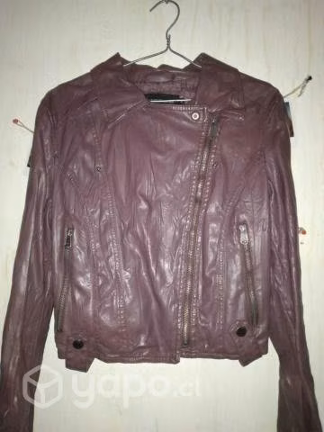 Chaquetass