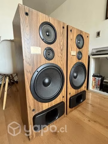 Hermosos y exclusivos parlantes Pioneer CS-R570