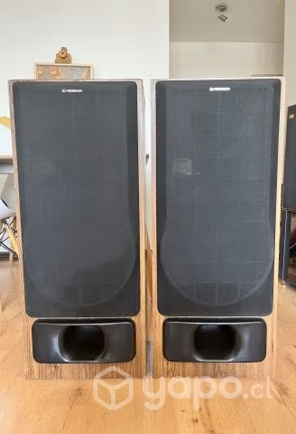 Hermosos y exclusivos parlantes Pioneer CS-R570