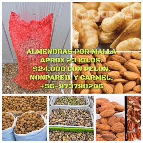 Almendras y Nueces por malla
