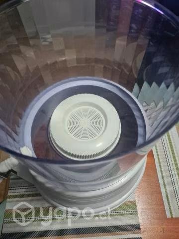 Purificador de agua