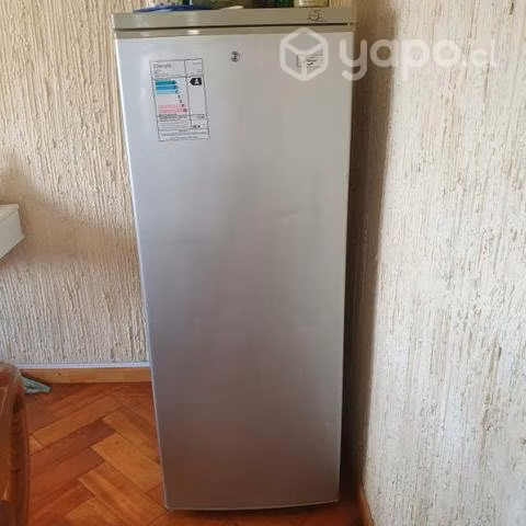 Congelador + visicooler Maigas de 350lt