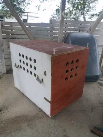 Canil Madera XXXL, apto para avión