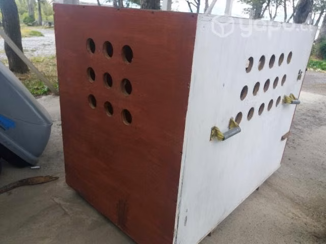 Canil Madera XXXL, apto para avión