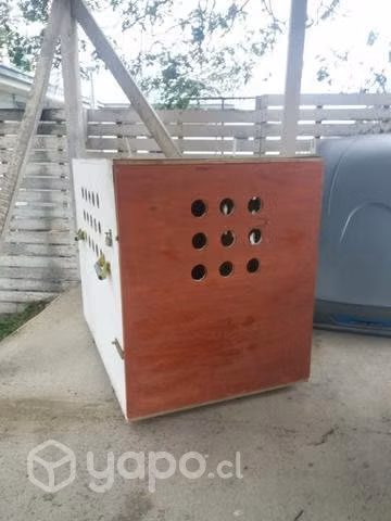 Canil Madera XXXL, apto para avión