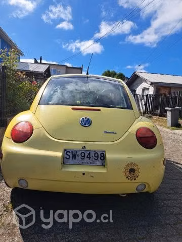 Volkswagen beetle