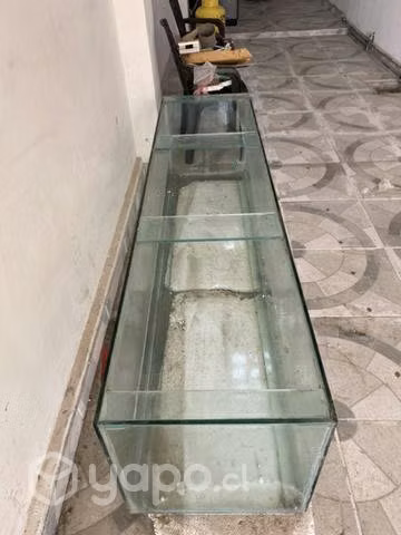 dos acuarios