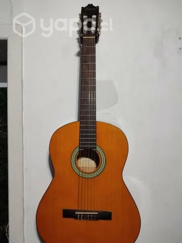 Guitarra Ibáñez con funda