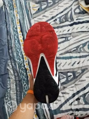 Nike zoom freak 3