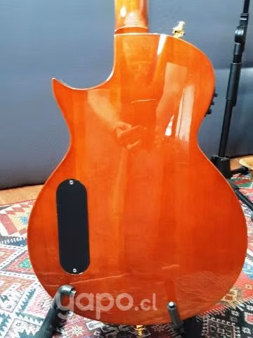 Guitarra Electro acústica LTD Modelo TL6
