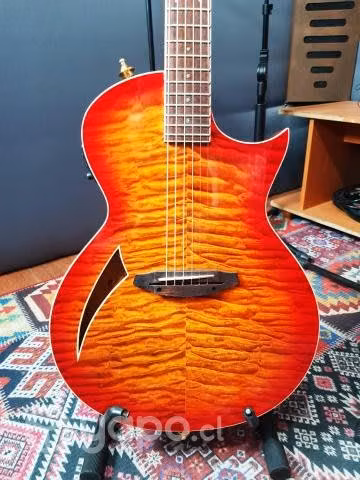 Guitarra Electro acústica LTD Modelo TL6