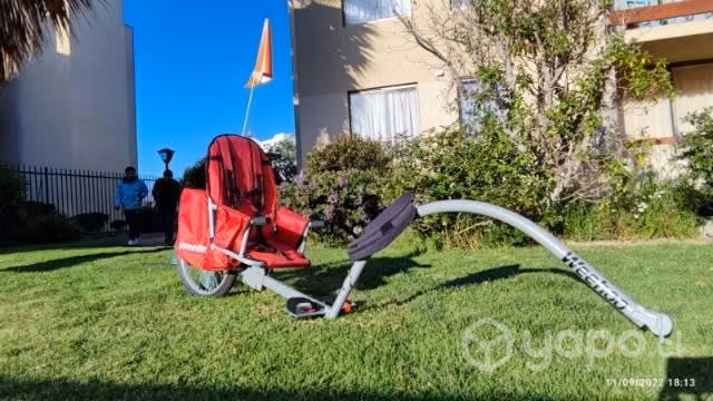 Silla niño para bicicleta