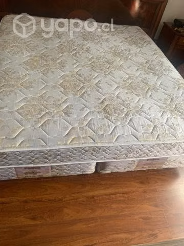 Box Spring Rosen