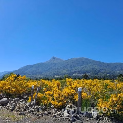 Se vende terreno en antuco