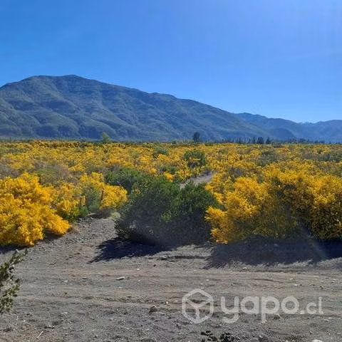 Se vende terreno en antuco
