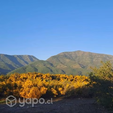 Se vende terreno en antuco