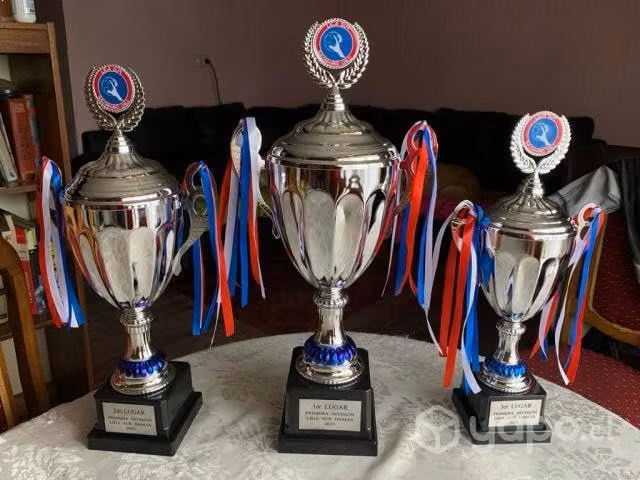 Copas para Premiación