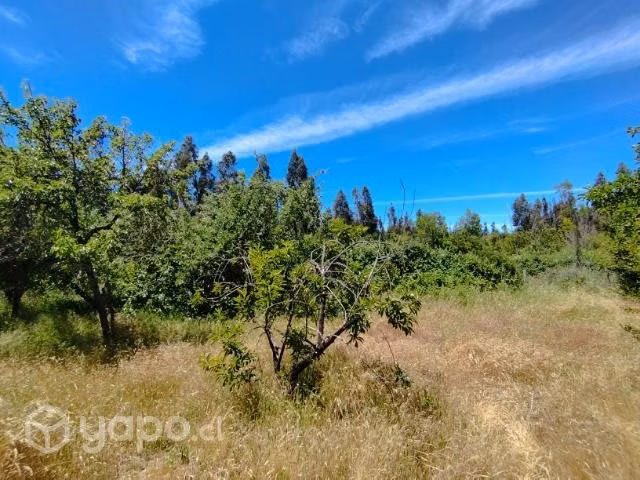 Parcela 9.600m2 Yumbel, Sector Vista Hermosa - Imagen 4