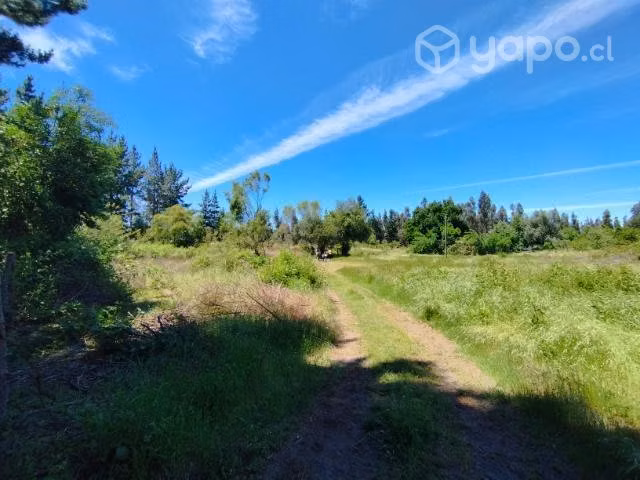 Parcela 9.600m2 Yumbel, Sector Vista Hermosa - Imagen 12