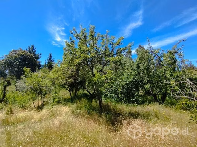Parcela 9.600m2 Yumbel, Sector Vista Hermosa - Imagen 5