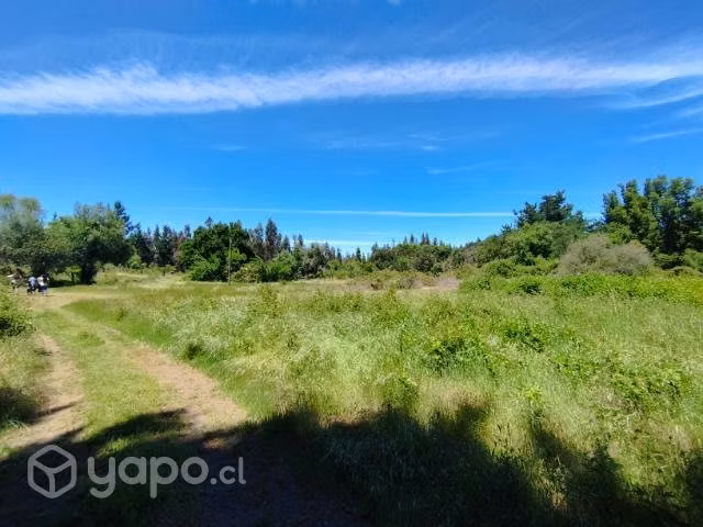 Parcela 9.600m2 Yumbel, Sector Vista Hermosa