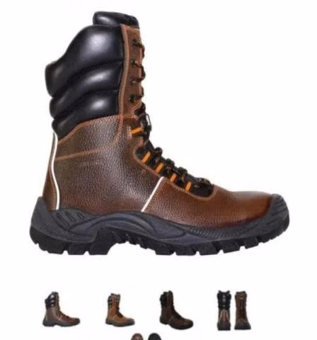 Zapatos de seguridad