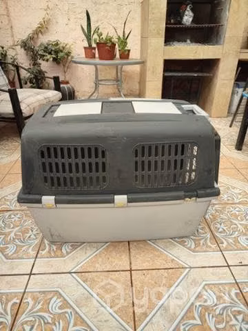 Canil perro grande XL - Imagen 2