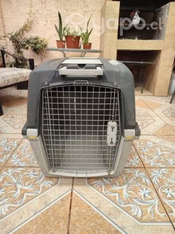 Canil perro grande XL