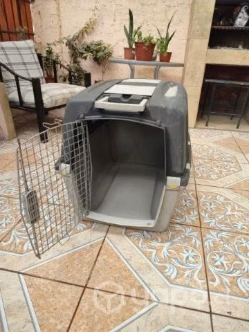 Canil perro grande XL - Imagen 3