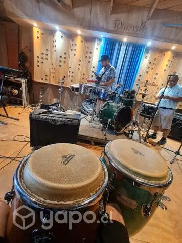 Conga Matador LP 11"