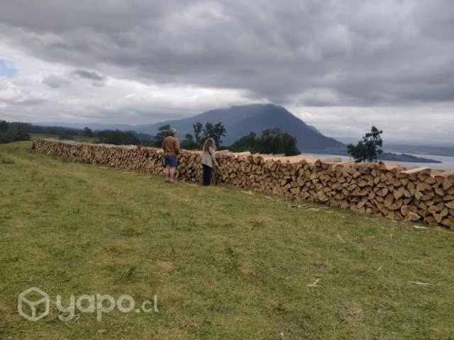Venta de leña x metro. Eucalipto