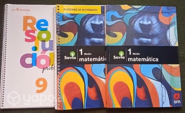Texto 1° medio matematica savia s.m