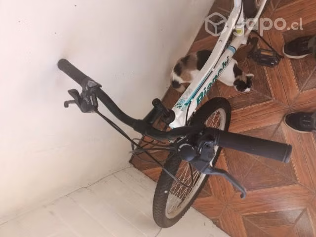 Bicicleta con poco uso.