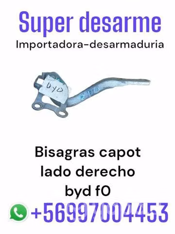 Bisagra capot b y d f0 desarmaduría