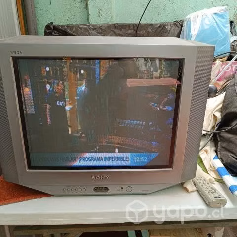 Televisión Sony wega. 21"