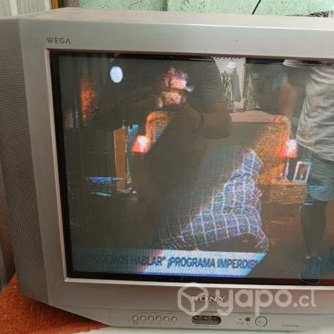 Televisión Sony wega. 21"