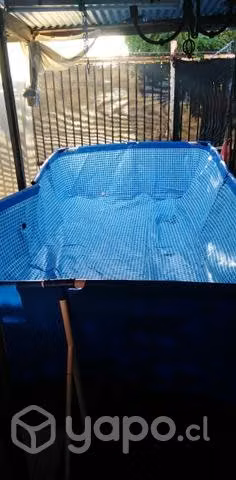Piscina negociable - Imagen 2