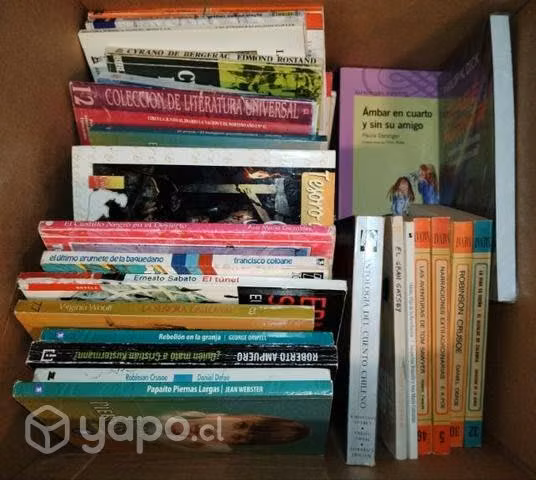 Libros lectura complementaria
