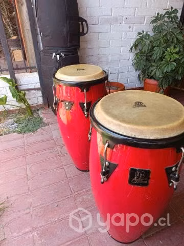 Congas lp aspire + fundas - Imagen 3