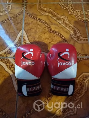 Se vende saco de boxeo y sus guantes