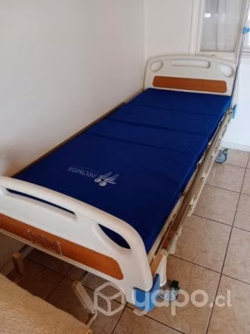 Cama clínica nueva